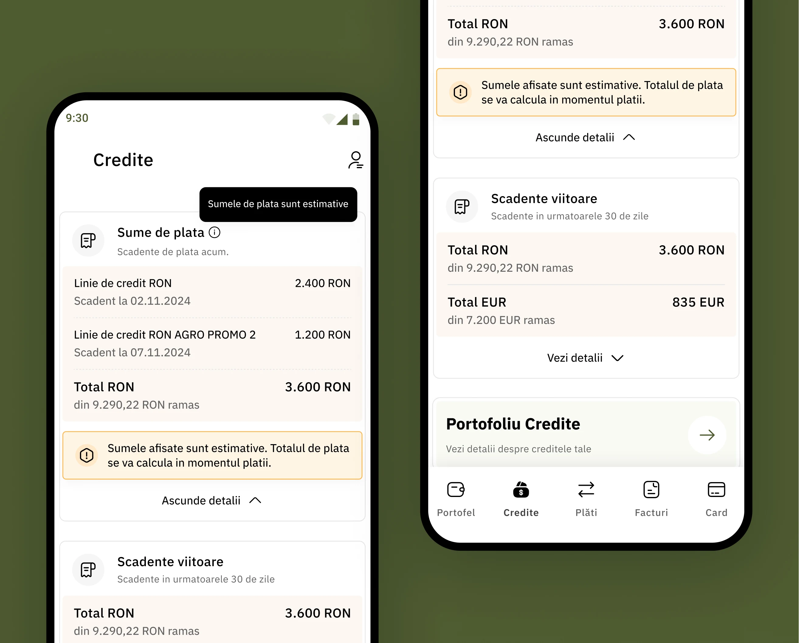 Gestionarea creditelor în Agricover Pay